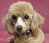 �ނ������A��������