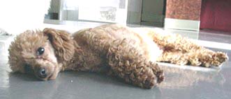 ���傱���ƁA���˂ށE�E�E