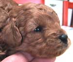 �����S���P��