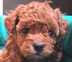 �����S���P�S��