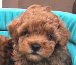 �����S���Q�Q��