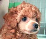 �����Ƃ��킢���ʐ^�������I