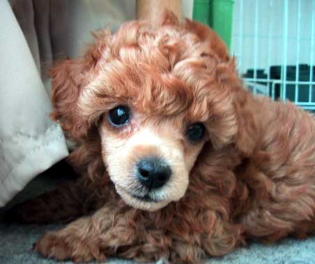 �����E�S���Q�W��