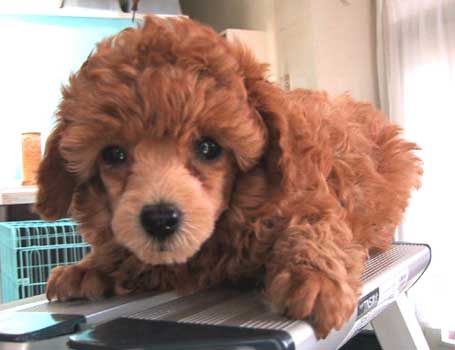 �����E�T���U��