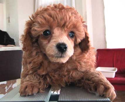 �����E�T���U��