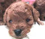 �����S���P��