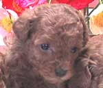 �����S���U��