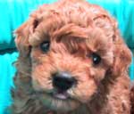 �����S���P�S��