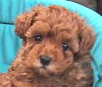 �����S���Q�Q��