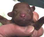 ���j�R���P�P��