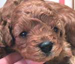 ���j�S���P��