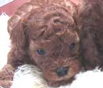 ���j�S���U��