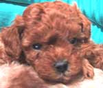 ���j�S���P�S��