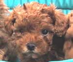 ���j�S���Q�Q��