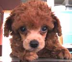 ���j�E�T���U��