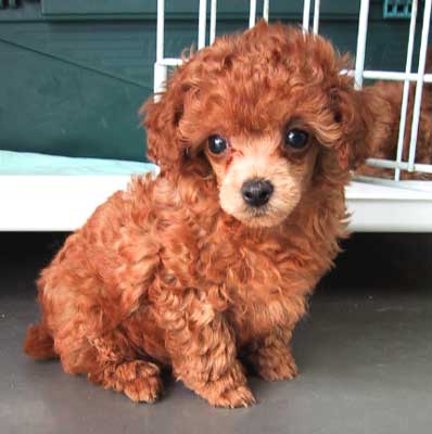 ���j�E�T���U��