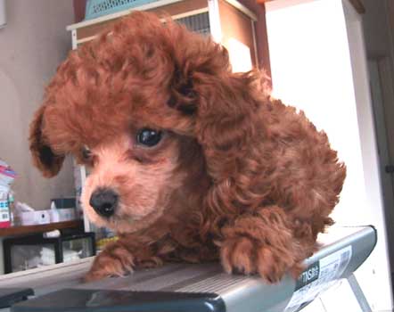 ���j�E�T���U��