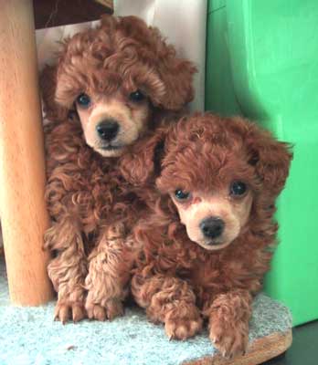 ���|�����E�E�|���j