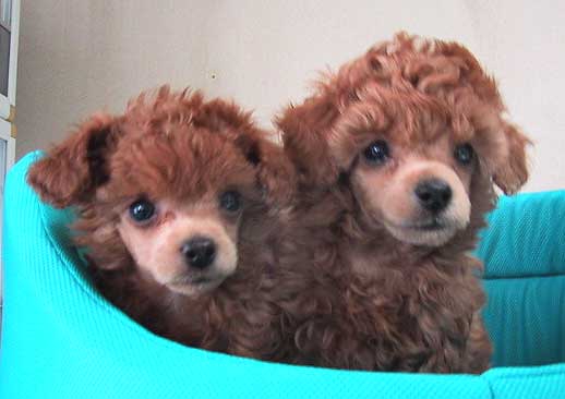 ���|���j�E�E�|����