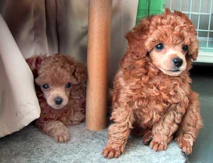 ���|���j�A�E�|����