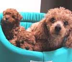 �����Ƃ��������ʐ^���������l�̓N���b�N�I