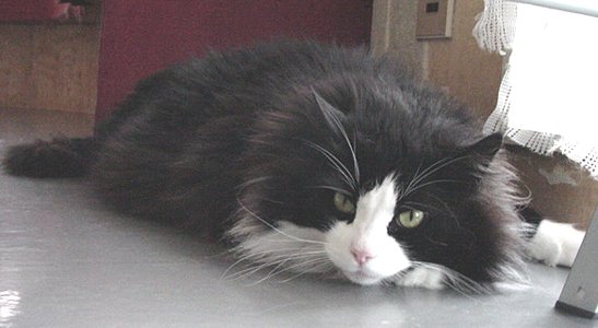 �₽���ċC���������ɂ႟�E�E�E