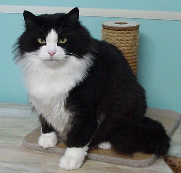 �ʂ��ɂ�ł�킯���႟�B�B�B