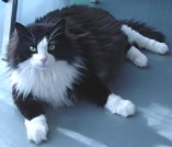 身体が重いんですぅ。