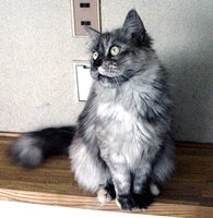 ������Ƃ��ǂ�������B�B�B